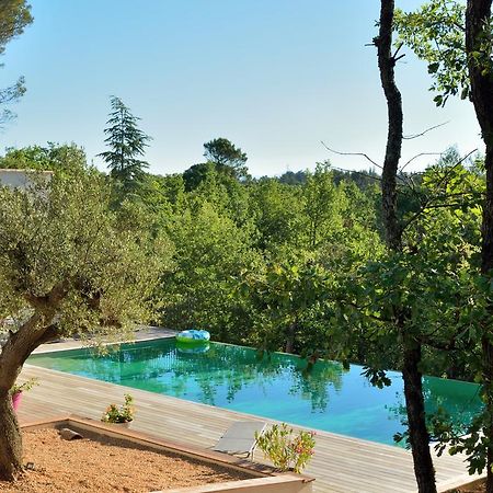 Sous Les Oliviers - Piscine Chauffee - Studios De Standing Tout-Equipes Saint-Maximin Buitenkant foto