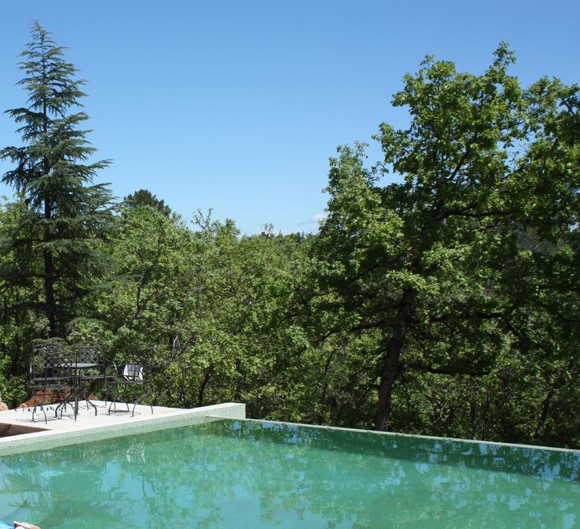 Sous Les Oliviers - Piscine Chauffee - Studios De Standing Tout-Equipes Saint-Maximin Kamer foto