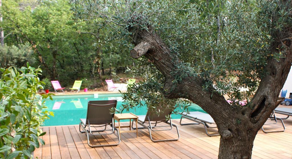 Sous Les Oliviers - Piscine Chauffee - Studios De Standing Tout-Equipes Saint-Maximin Kamer foto