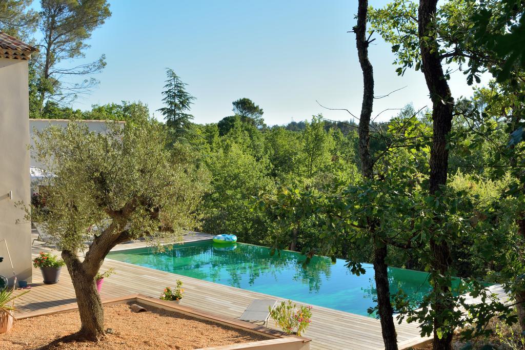 Sous Les Oliviers - Jacuzzi - Studios De Standing Tout-Equipes Saint-Maximin Buitenkant foto