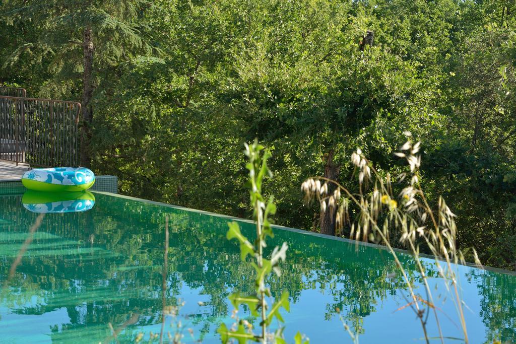 Sous Les Oliviers - Piscine Chauffee - Studios De Standing Tout-Equipes Saint-Maximin Buitenkant foto