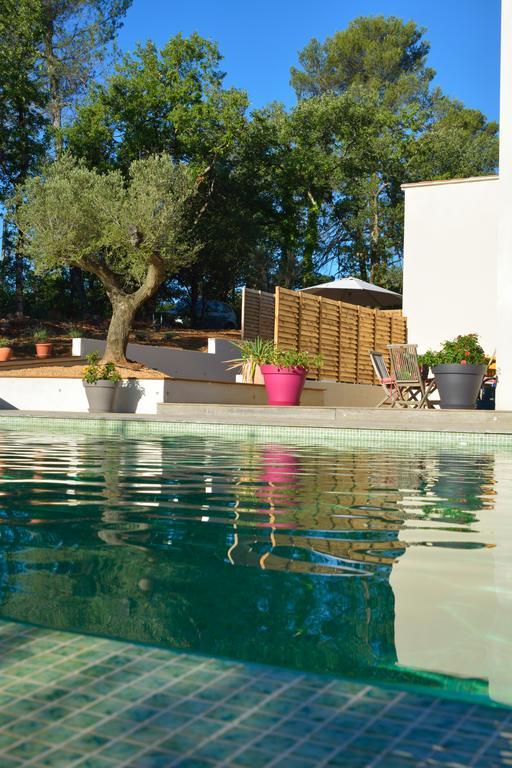 Sous Les Oliviers - Piscine Chauffee - Studios De Standing Tout-Equipes Saint-Maximin Buitenkant foto