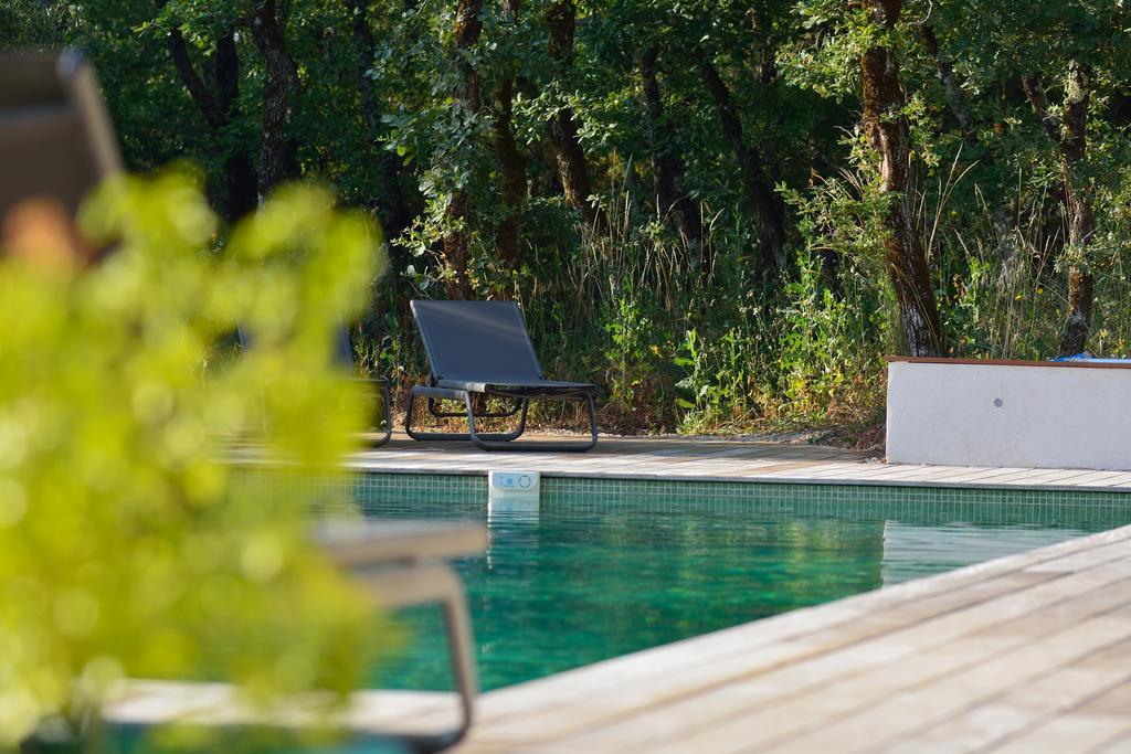 Sous Les Oliviers - Piscine Chauffee - Studios De Standing Tout-Equipes Saint-Maximin Buitenkant foto